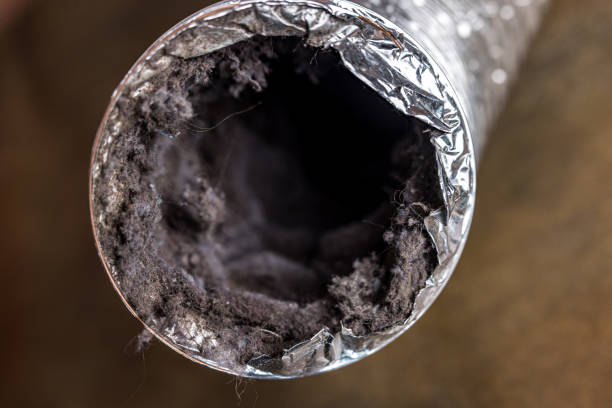 Best Dryer Vent Cleaning Services  in West Liberty, KY